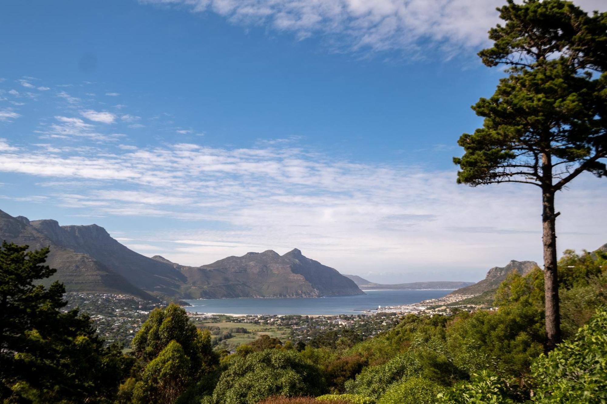 Dreamhouse Guest House Hout Bay Luaran gambar